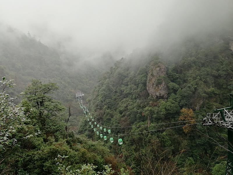 井冈山之行山雾